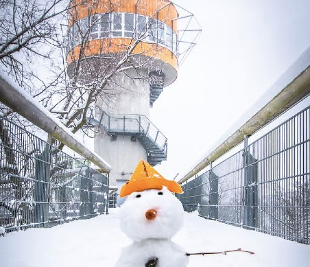 Bild: Am Baumkronenpfad im Nationalpark Hainich stellt man auf den Winterfahrplan um