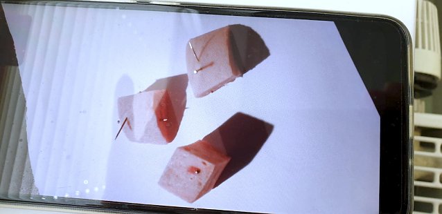 Bild: Gefundene Giftk&ouml;der in Leinefelde
