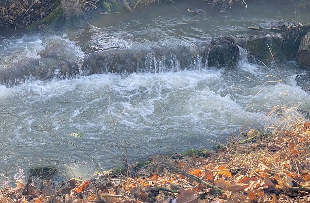 Bild: An der Salza in Bad Langensalza