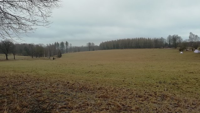 Bild: Auch der Hochharz ist bei 2 Grad wieder schneefrei