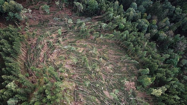 Bild: Orkanst&uuml;rme k&ouml;nnen im Wald, wie hier im Schwarzatal 2018, sehr lokal, daf&uuml;r umso zerst&ouml;rerischer wirken