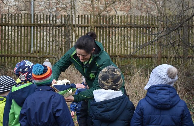 Bild: Der B&auml;renpark Worbis veranstaltet zum Fr&uuml;hlingserwachen seiner Sch&uuml;tzlinge eine Gewinnspiel f&uuml;r Kinderg&auml;rten und Grundschulen