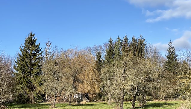 Bild: Viel Sonnenschein pr&auml;gte den M&auml;rz, au&szlig;er in Th&uuml;ringen