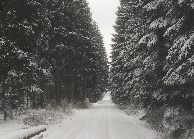 Bild: Er ist wieder da: der Winter!