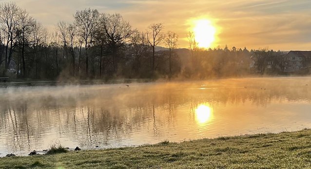 Bild: Graureiher im Nebel im Schlossgarten Sondershausen