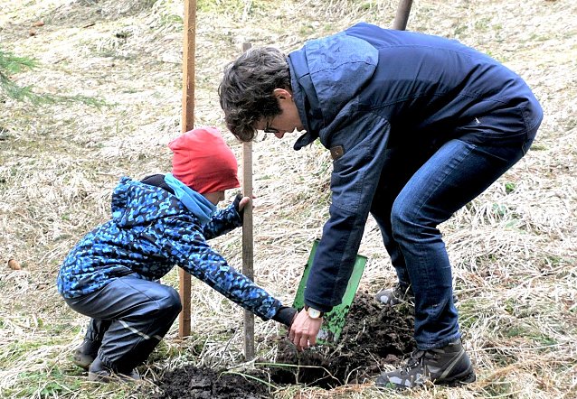 Bild: Fr&uuml;hjahrsaufforstung - Helfende H&auml;nde gesucht