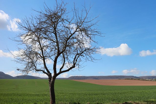 Bild: Wetterbild
