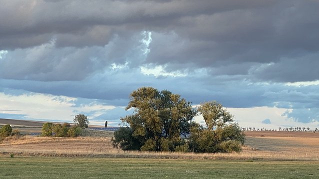 Bild: Es wird immer herbstlicher