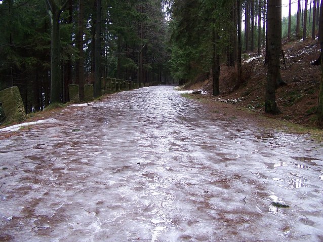 Bild: Bei den gegenw&auml;rtigen Frosttemperaturen bilden sich auf Waldwegen gern Eisschichten: Vorsicht, es besteht keine Streupflicht f&uuml;r Waldbesitzern