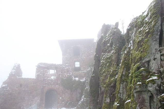 Bild: Die Burgruine Hohnstein in Winterkleid und Nebel