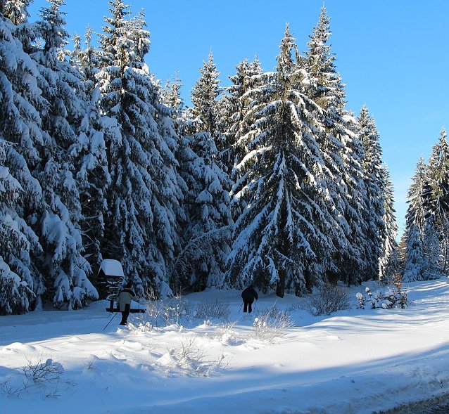 Bild: Skilangl&auml;ufern steht in Th&uuml;ringen ein 878 Kilometer umfassendes Loipennetz zur Verf&uuml;gung.