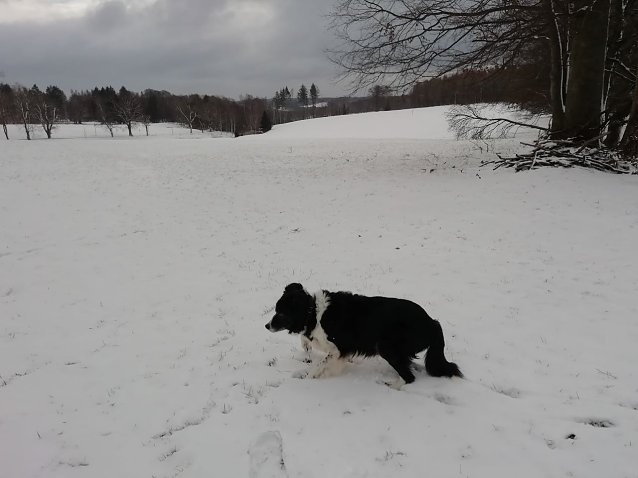 Bild: Der Winter hat Sophienhof noch fest im Griff