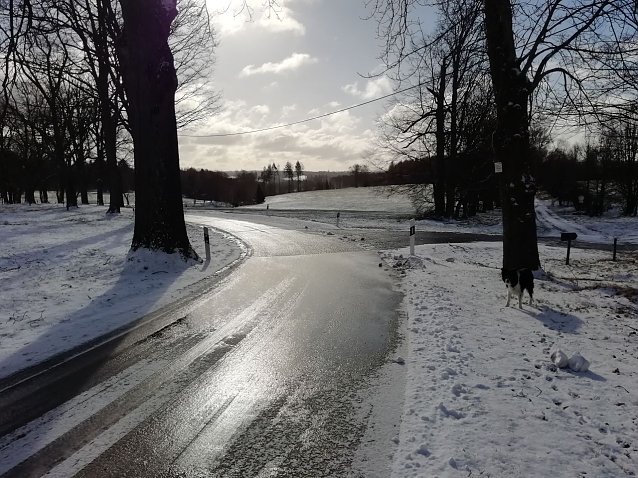 Bild: In Sophienhof ist der Winter noch einmal zur&uuml;ckgekehrt