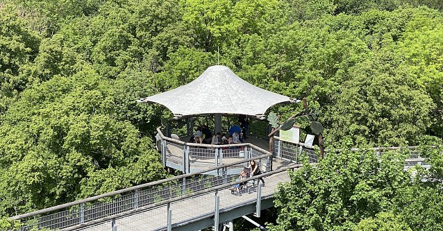 Bild: Der Baumkronenpfad passt seine &Ouml;ffnungszeiten an