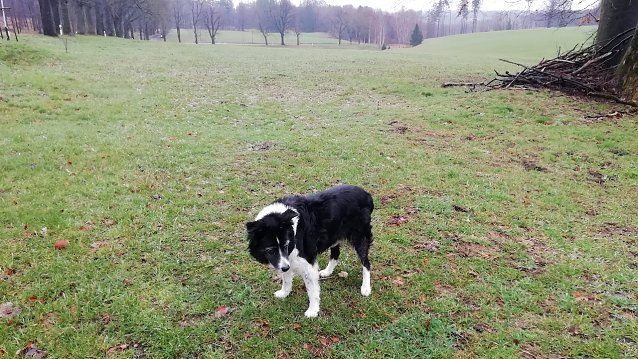 Bild: 3 Grad und Regen gab es heute Morgen aus Sophienhof zu vermelden 