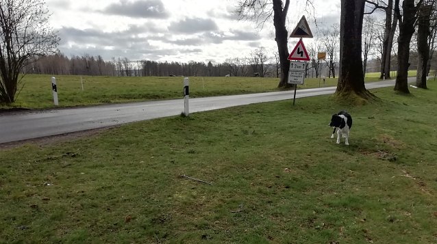 Bild: Drei Grad, starker Wind und zeitweise Sonne heute Morgen in Sophienhof iim Harz