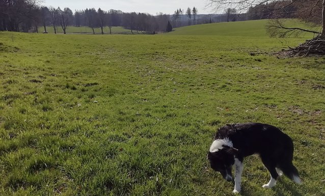 Bild: Sonnig, windstill und 5 Grad meldete Sophienhof heute morgen