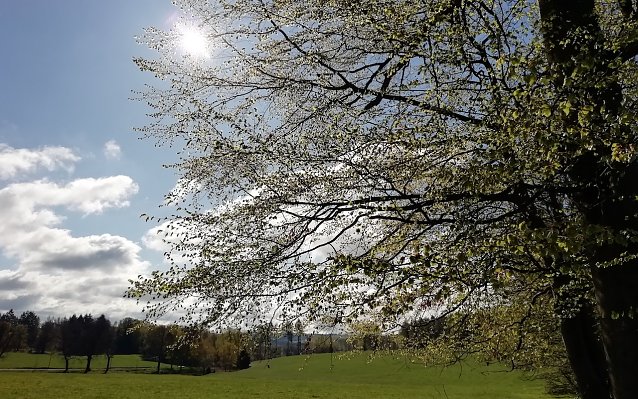Bild: Zehn Grad und viel Sonne vermeldet Sophienhof heute Morgen