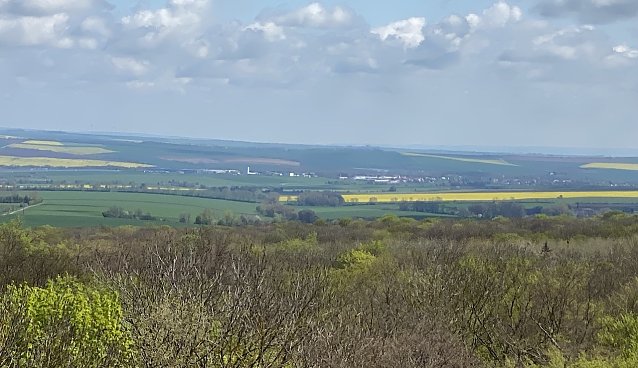 Bild: Blick vom Baumkronenpfad