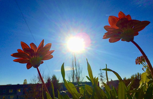 Bild: Damit der Sommertag zu einem sch&ouml;nen Erlebnis wird 