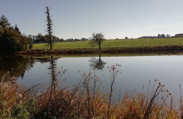 Bild: Windstill, sonnen&uuml;berflutet und morgens schon 20 Grad in Sophienhof, Th&uuml;ringens n&ouml;rdlichstem Zipfel