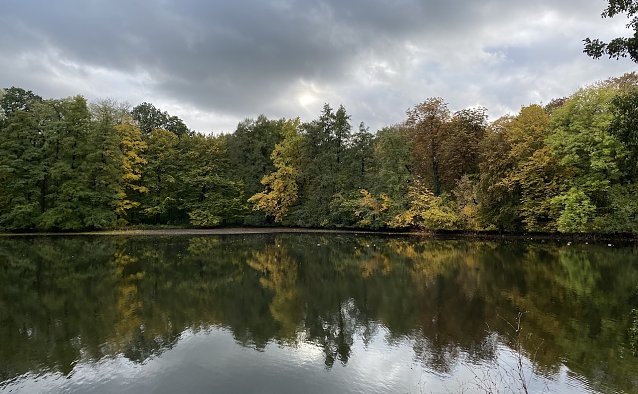 Bild: Herbstlicher Teich in Nordsachsen