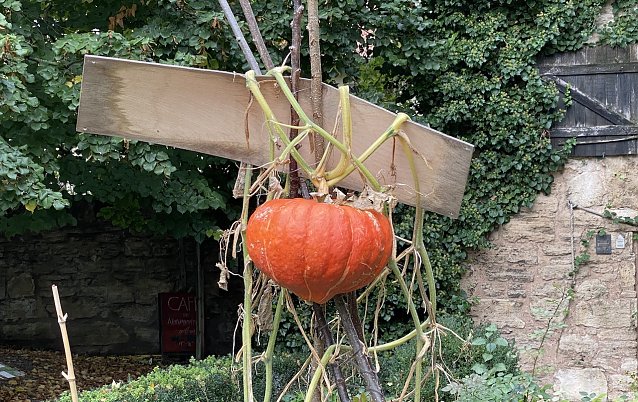 Bild: Die freundlichen Herbsttage sind vorbei