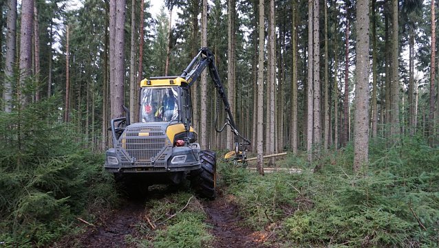 Bild: Durchforstungen, also die F&ouml;rderung von vitalen Einzelb&auml;umen, erfolgen in der Regel durch Forstmaschinen. Sie dienen unmittelbar der Stabilisierung der W&auml;lder im Klimawandel und f&ouml;rdern so den Waldumbau