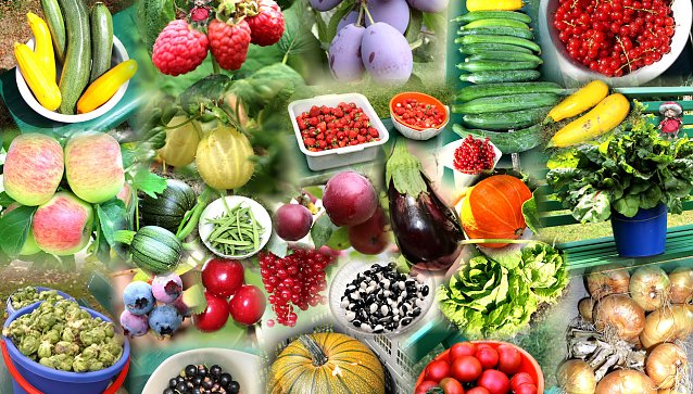 Bild: Obst und Gem&uuml;seanbau aus unserem heimischen Garten