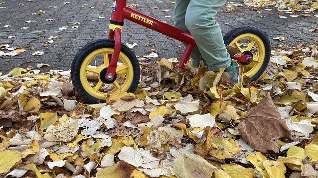Bild: Vorsichtig fahren: In Verbindung mit N&auml;sse wird buntes Laub zu einem rutschig-schmierigen 