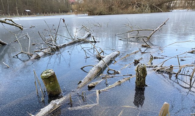 Bild: Auch an den Langensalzaer B&ouml;hmenteichen bleibt der Frost erhalten