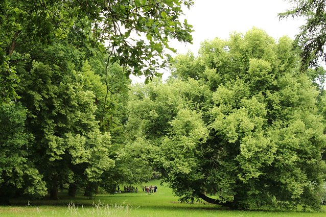 Bild: Wetterbild