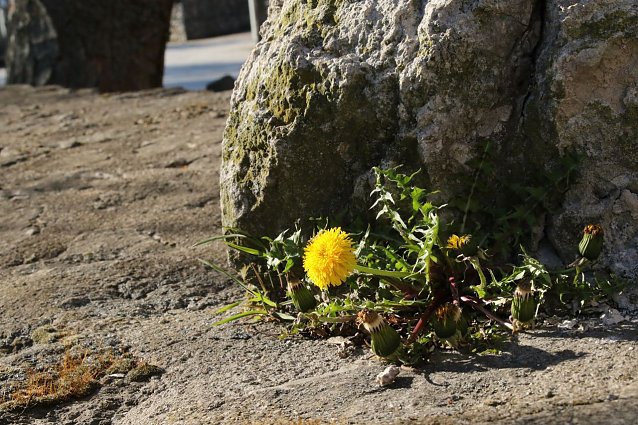 Bild: Wetterbild