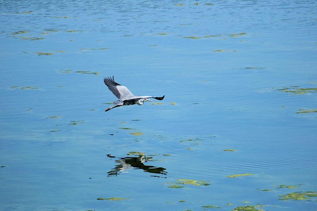 Bild: Unser Wetterbild kommt heute von Peter Blei der am Stausee Kelbra unterwegs war