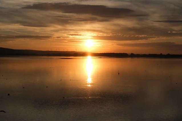 Bild: Herbstabend am Stausee Kelbra