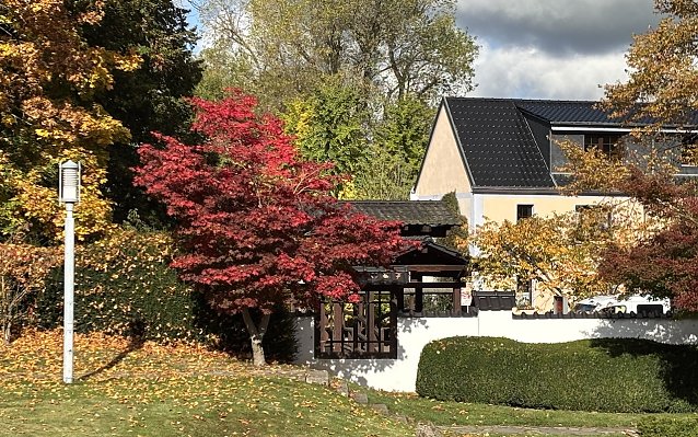 Bild: Das Herbstwetter bleibt st&uuml;rmisch