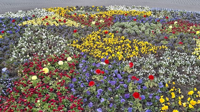 Bild: Buntes Fr&uuml;hlingsbeet
