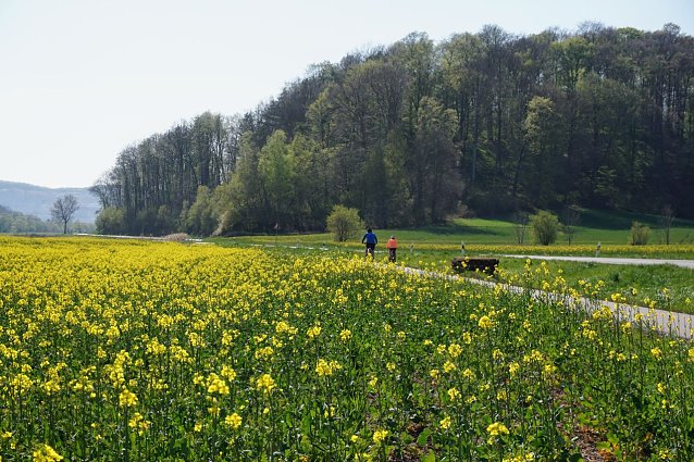 Bild: 