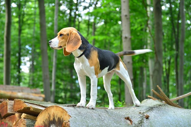 Bild: 