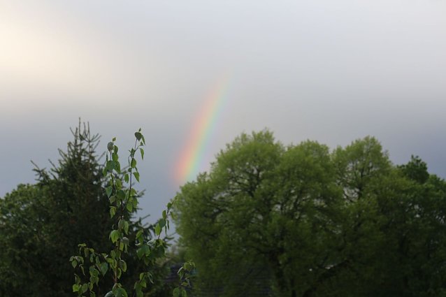 Bild: 