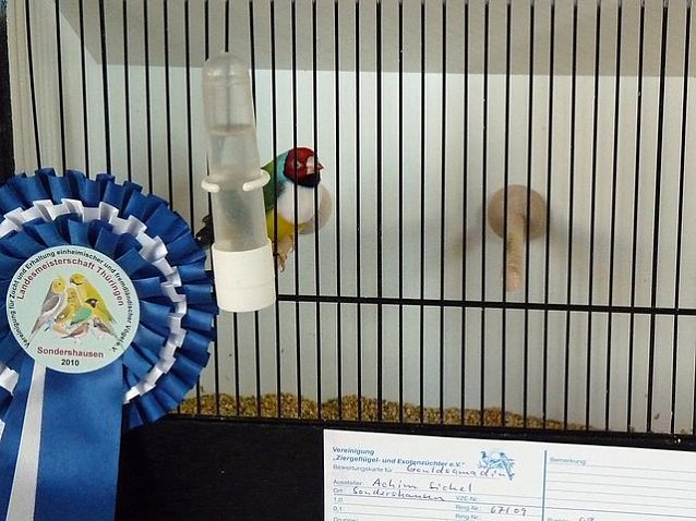 Bild: Vogelausstellung in Sondershausen