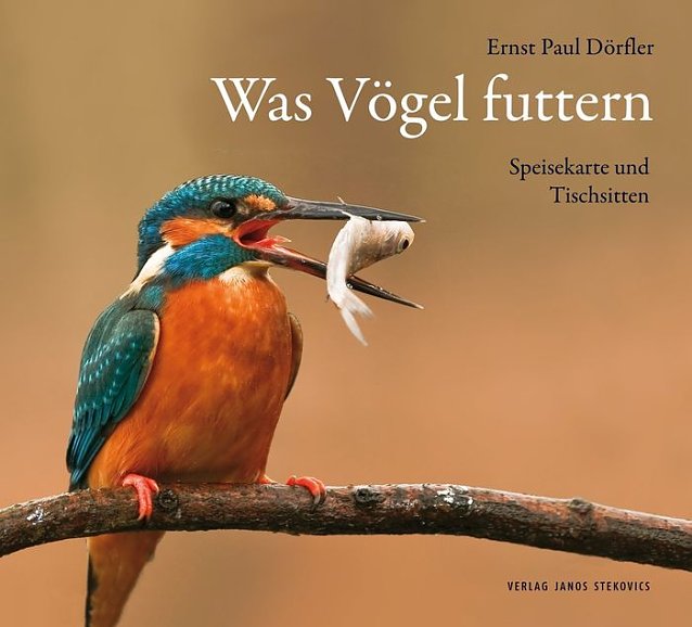 Bild: Cover