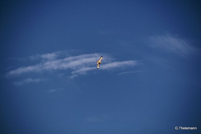 Bild: Wetter-Bild