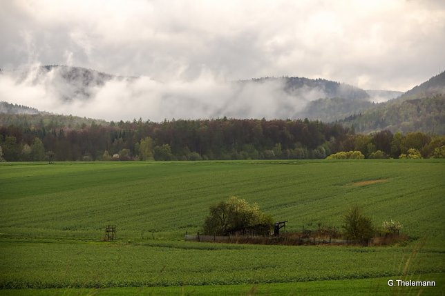 Bild: Wetter-Bild