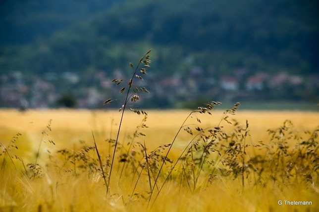 Bild: Wetter-Bild