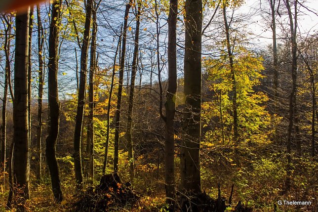 Bild: Wetter-Bild