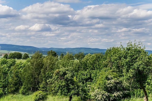 Bild: Wetter-Bild