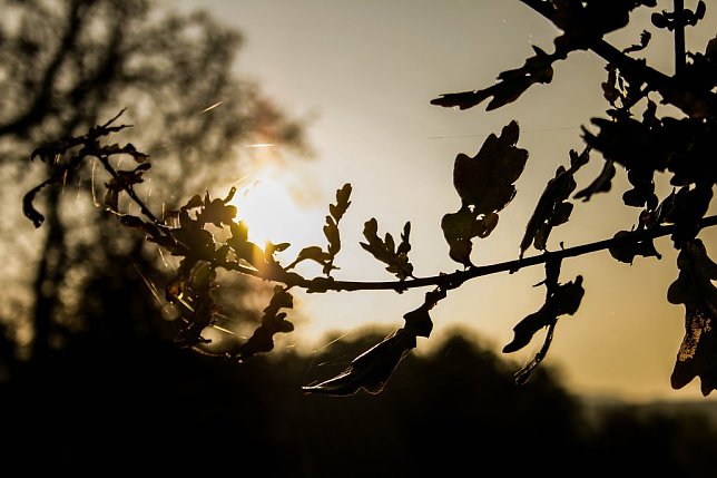 Bild: Wetter-Bild