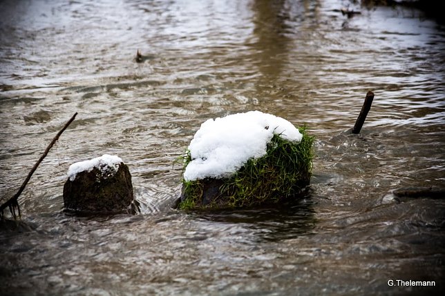 Bild: Wetter-Bild