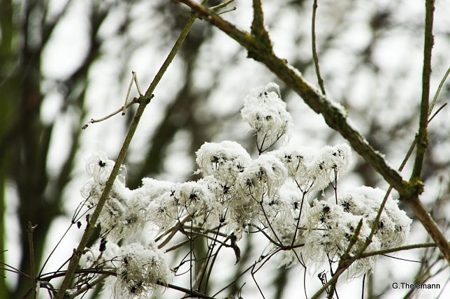 Bild: Wetter-Bild